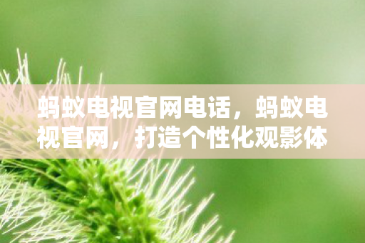 蚂蚁电视官网电话,蚂蚁电视官网,打造个性化观影体验,引领智能电视新潮流 蚂蚁电视官网电话,蚂蚁电视官网,打造个性化观影体验,引领智能电视新潮流