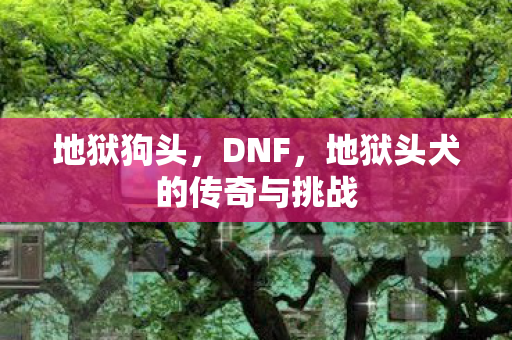 地狱狗头,DNF,地狱头犬的传奇与挑战 地狱狗头,DNF,地狱头犬的传奇与挑战