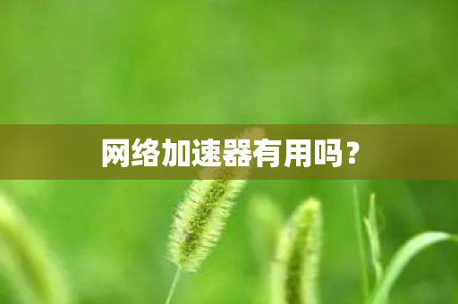 网络加速器有用吗? 网络加速器有用吗?