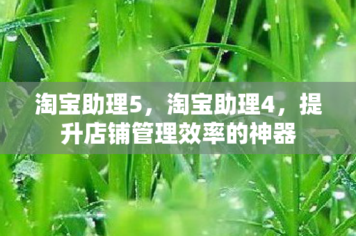 淘宝助理5，淘宝助理4，提升店铺管理效率的神器