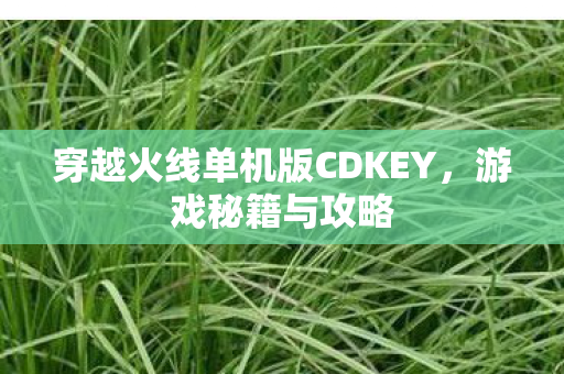 穿越火线单机版CDKEY，游戏秘籍与攻略