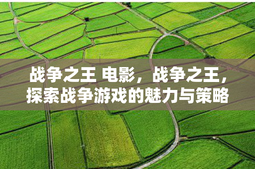 战争之王 电影，战争之王，探索战争游戏的魅力与策略
