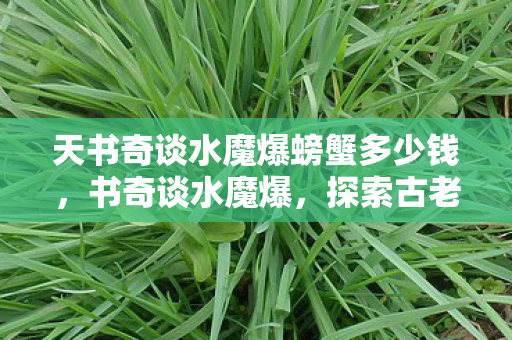 天书奇谈水魔爆螃蟹多少钱，书奇谈水魔爆，探索古老魔法与奇幻世界的奇妙之旅