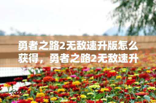 勇者之路2无敌速升版怎么获得，勇者之路2无敌速升版，解锁无限可能的冒险之旅