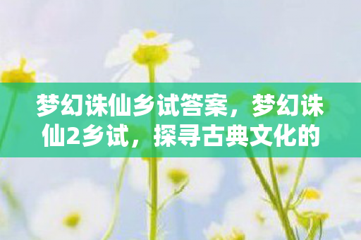 梦幻诛仙乡试答案，梦幻诛仙2乡试，探寻古典文化的魅力