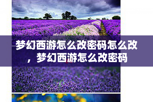 梦幻西游怎么改密码怎么改，梦幻西游怎么改密码