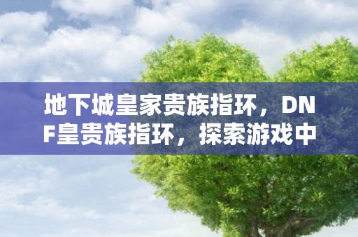 地下城皇家贵族指环，DNF皇贵族指环，探索游戏中的神秘宝藏