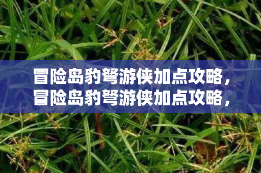 冒险岛豹弩游侠加点攻略，冒险岛豹弩游侠加点攻略，打造最强战斗力的关键