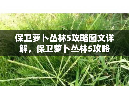 保卫萝卜丛林5攻略图文详解,保卫萝卜丛林5攻略 保卫萝卜丛林5攻略图文详解,保卫萝卜丛林5攻略