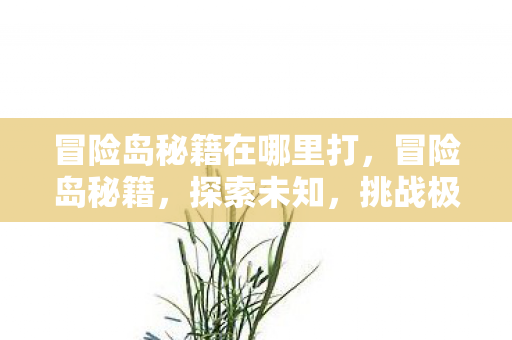 冒险岛秘籍在哪里打，冒险岛秘籍，探索未知，挑战极限