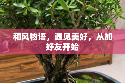和风物语，遇见美好，从加好友开始