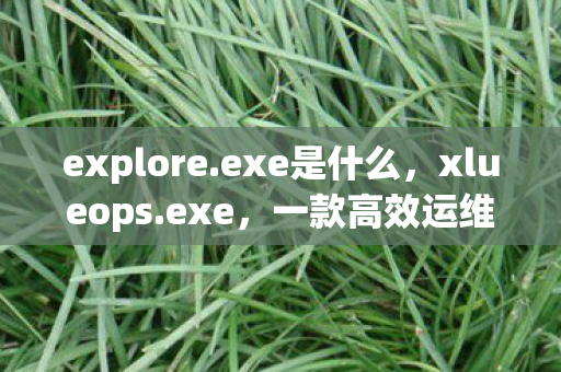 explore.exe是什么,xlueops.exe,一款高效运维工具的背后解析 explore.exe是什么,xlueops.exe,一款高效运维工具的背后解析