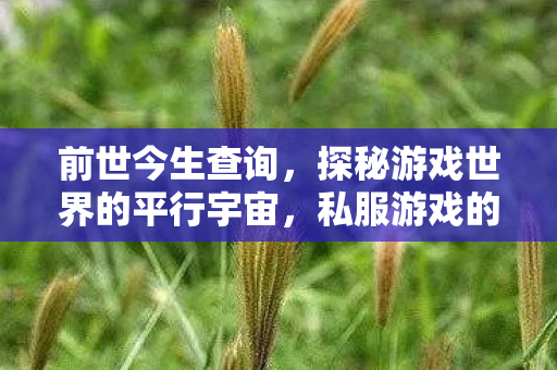前世今生查询，探秘游戏世界的平行宇宙，私服游戏的兴起与影响