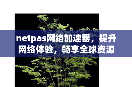 netpas网络加速器，提升网络体验，畅享全球资源