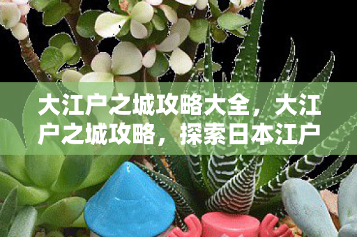 大江户之城攻略大全,大江户之城攻略,探索日本江户时代的魅力 大江户之城攻略大全,大江户之城攻略,探索日本江户时代的魅力