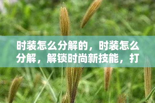 时装怎么分解的，时装怎么分解，解锁时尚新技能，打造个性化穿搭