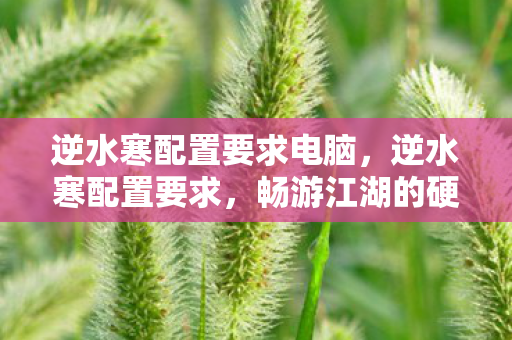 逆水寒配置要求电脑,逆水寒配置要求,畅游江湖的硬件门槛 逆水寒配置要求电脑,逆水寒配置要求,畅游江湖的硬件门槛