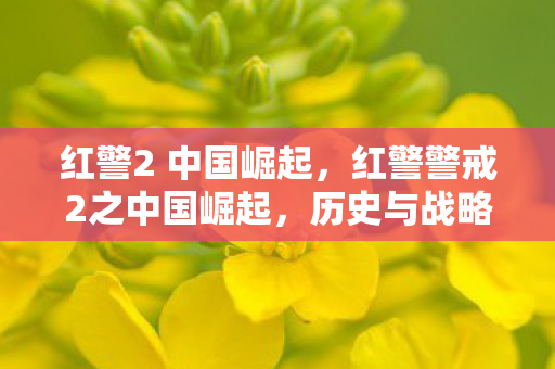 红警2 中国崛起，红警警戒2之中国崛起，历史与战略的交汇