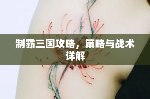 制霸三国攻略，策略与战术详解