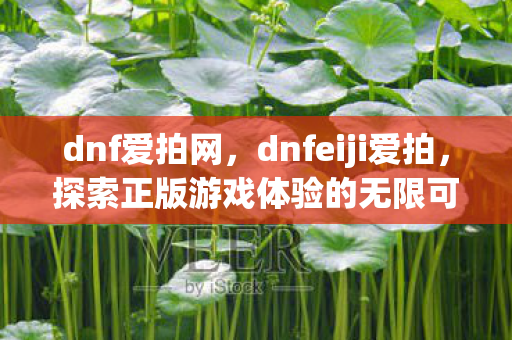 dnf爱拍网，dnfeiji爱拍，探索正版游戏体验的无限可能