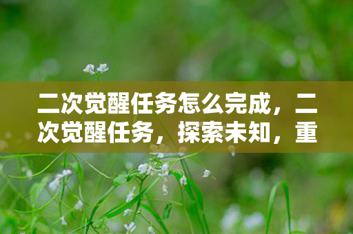 二次觉醒任务怎么完成，二次觉醒任务，探索未知，重塑自我