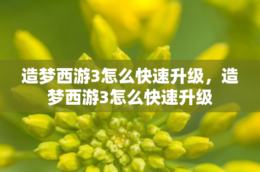 造梦西游3怎么快速升级，造梦西游3怎么快速升级