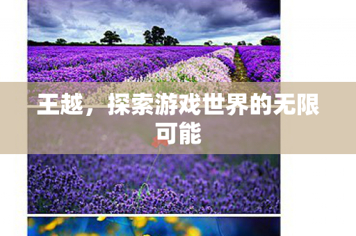 王越，探索游戏世界的无限可能
