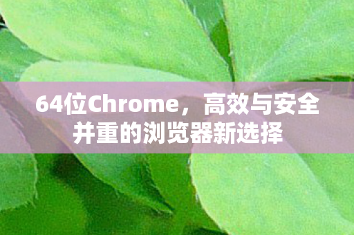 64位Chrome，高效与安全并重的浏览器新选择
