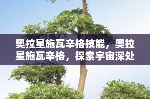 奥拉星施瓦辛格技能，奥拉星施瓦辛格，探索宇宙深处的神秘力量