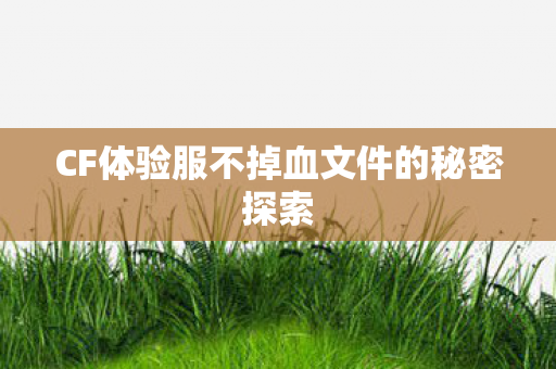 CF体验服不掉血文件的秘密探索