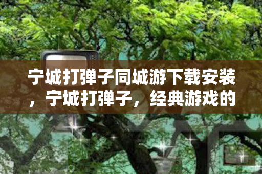 宁城打弹子同城游下载安装，宁城打弹子，经典游戏的魅力与传承