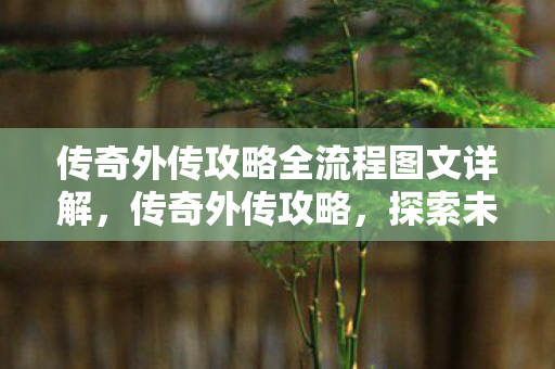 传奇外传攻略全流程图文详解，传奇外传攻略，探索未知世界的终极指南