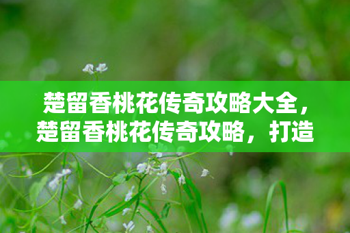楚留香桃花传奇攻略大全，楚留香桃花传奇攻略，打造完美江湖之旅