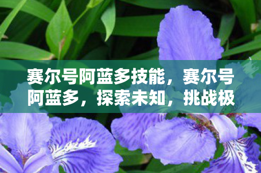 赛尔号阿蓝多技能，赛尔号阿蓝多，探索未知，挑战极限