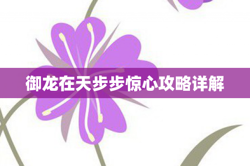 御龙在天步步惊心攻略详解