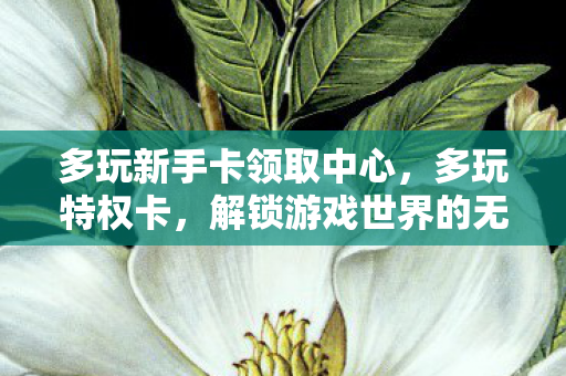 多玩新手卡领取中心，多玩特权卡，解锁游戏世界的无限可能