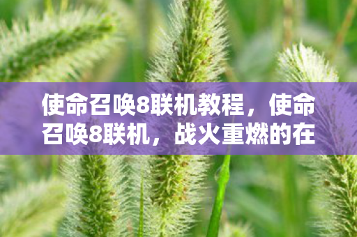 使命召唤8联机教程,使命召唤8联机,战火重燃的在线对战体验 使命召唤8联机教程,使命召唤8联机,战火重燃的在线对战体验