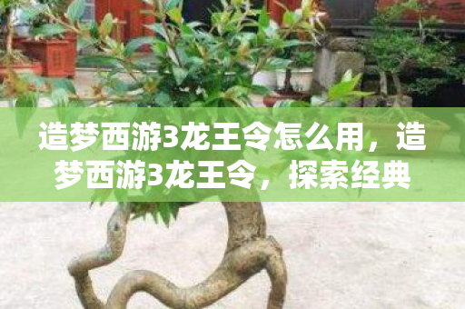 造梦西游3龙王令怎么用，造梦西游3龙王令，探索经典游戏的魅力与传承