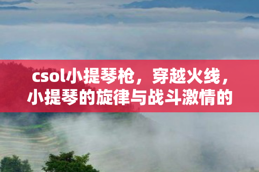 csol小提琴枪,穿越火线,小提琴的旋律与战斗激情的交响曲 csol小提琴枪,穿越火线,小提琴的旋律与战斗激情的交响曲