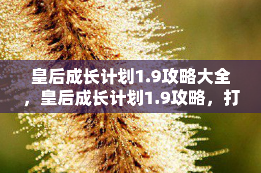 皇后成长计划1.9攻略大全,皇后成长计划1.9攻略,打造最强皇后之路 皇后成长计划1.9攻略大全,皇后成长计划1.9攻略,打造最强皇后之路