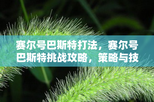 赛尔号巴斯特打法,赛尔号巴斯特挑战攻略,策略与技巧 赛尔号巴斯特打法,赛尔号巴斯特挑战攻略,策略与技巧