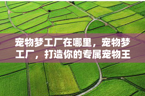 宠物梦工厂在哪里，宠物梦工厂，打造你的专属宠物王国