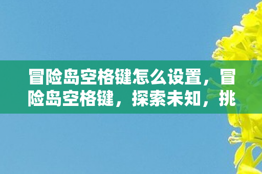 冒险岛空格键怎么设置，冒险岛空格键，探索未知，挑战自我