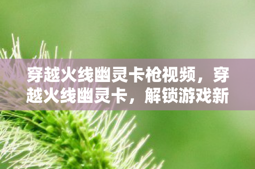 穿越火线幽灵卡枪视频,穿越火线幽灵卡,解锁游戏新境界的钥匙 穿越火线幽灵卡枪视频,穿越火线幽灵卡,解锁游戏新境界的钥匙