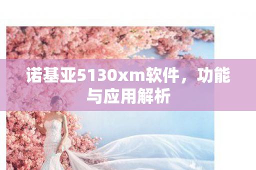诺基亚5130xm软件，功能与应用解析