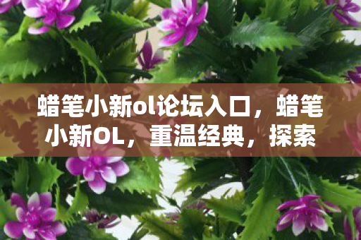 蜡笔小新ol论坛入口，蜡笔小新OL，重温经典，探索虚拟世界的无限可能