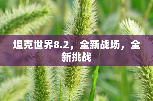 坦克世界8.2，全新战场，全新挑战