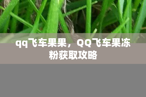 qq飞车果果，QQ飞车果冻粉获取攻略