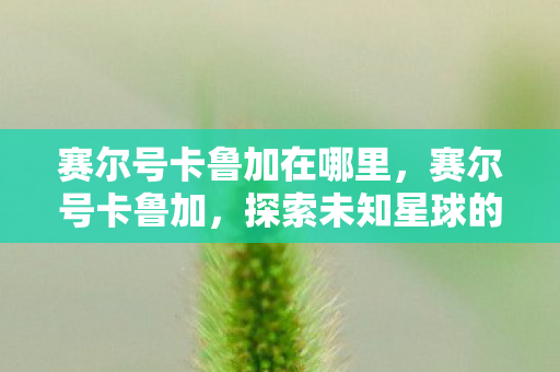 赛尔号卡鲁加在哪里,赛尔号卡鲁加,探索未知星球的奇幻之旅 赛尔号卡鲁加在哪里,赛尔号卡鲁加,探索未知星球的奇幻之旅