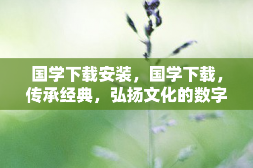 国学下载安装,国学下载,传承经典,弘扬文化的数字桥梁 国学下载安装,国学下载,传承经典,弘扬文化的数字桥梁